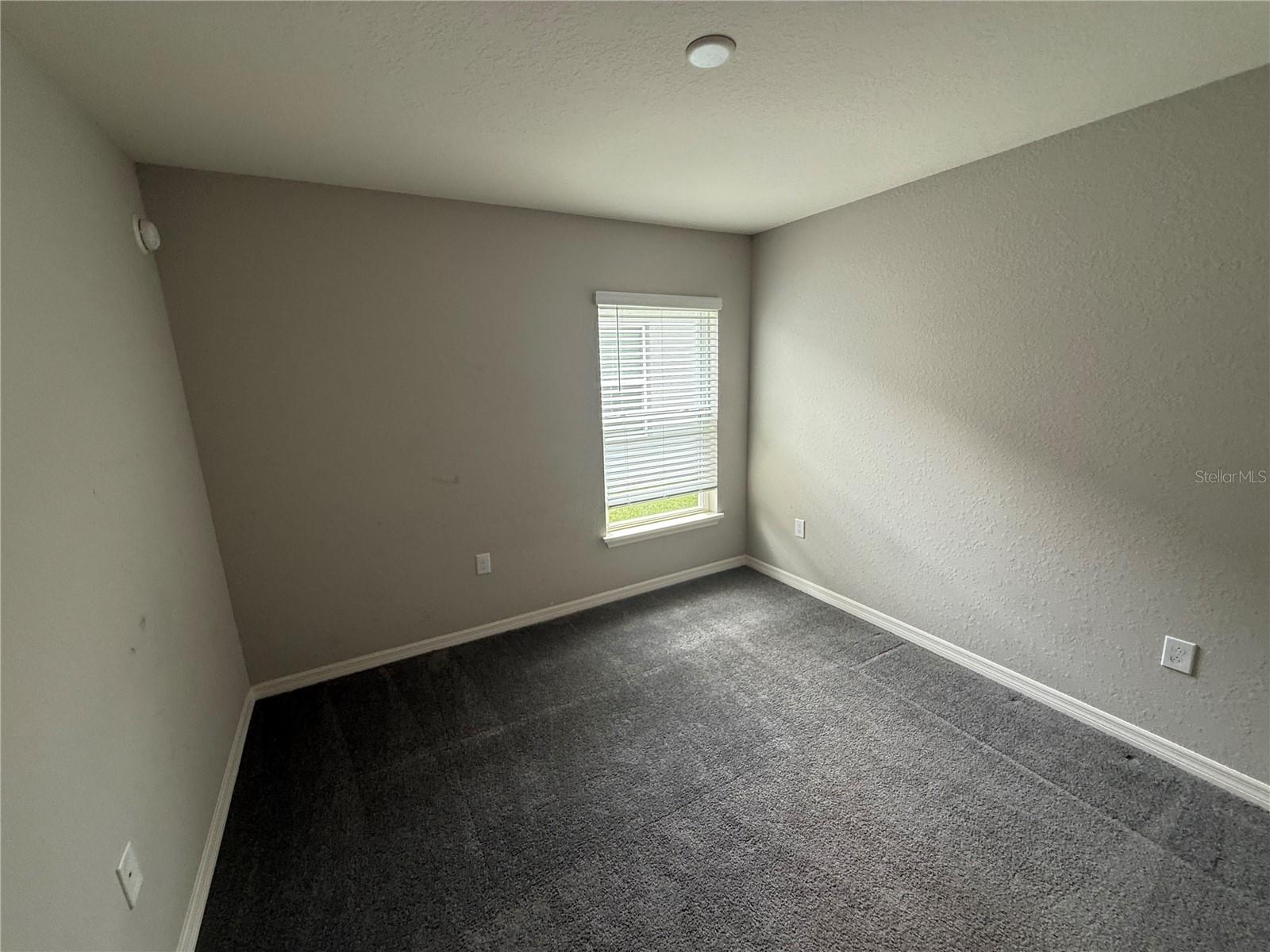 2586 San Marco Way Property Photo 4