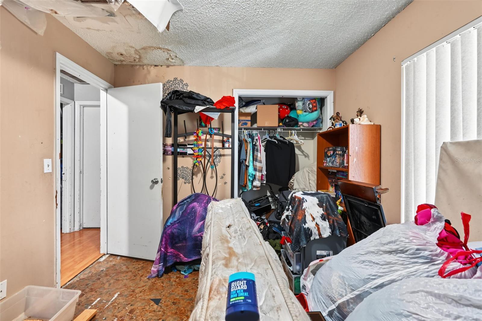 509 E Drew St Property Photo 23