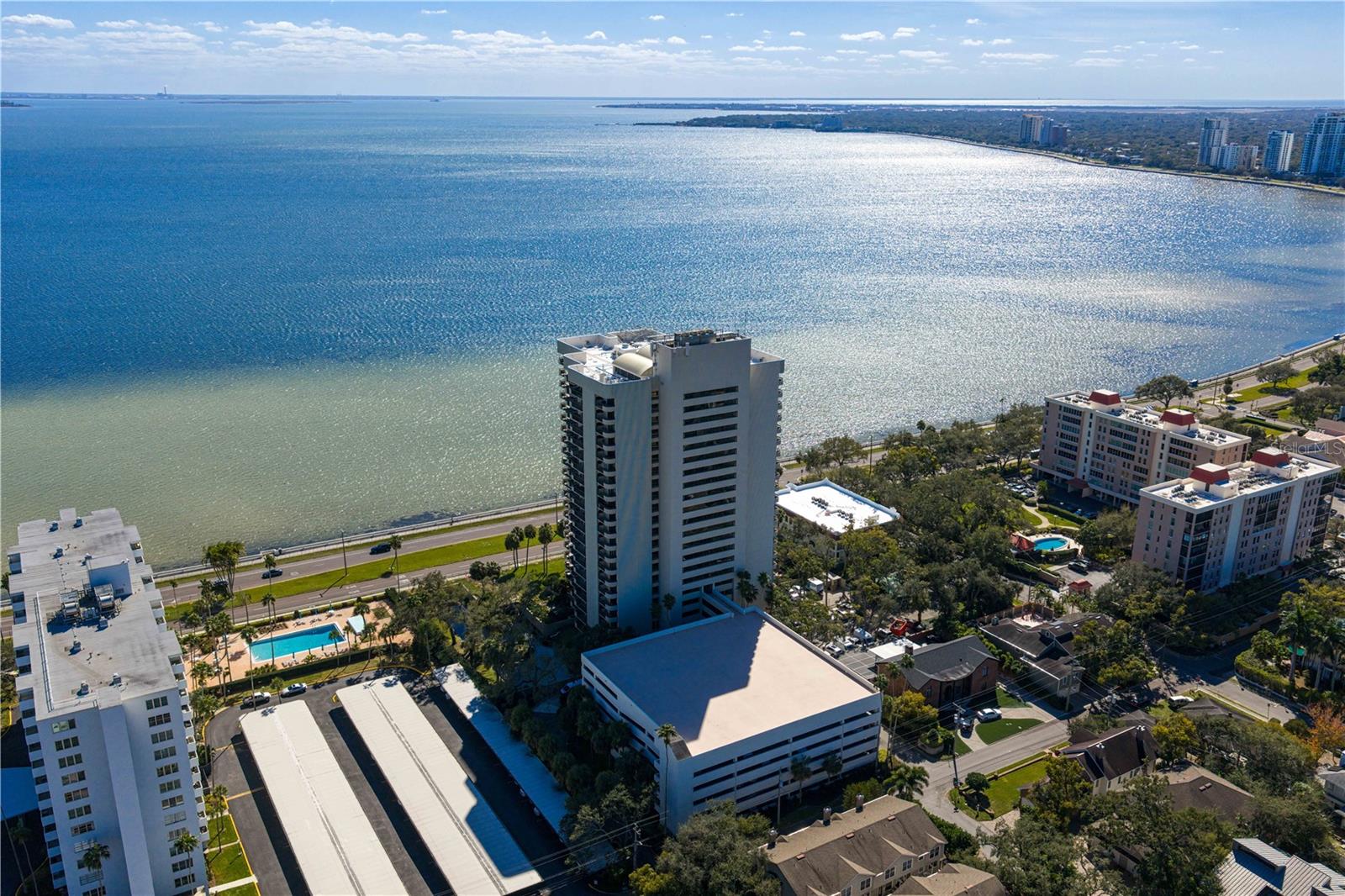 2413 Bayshore Blvd #1605 Property Photo 1