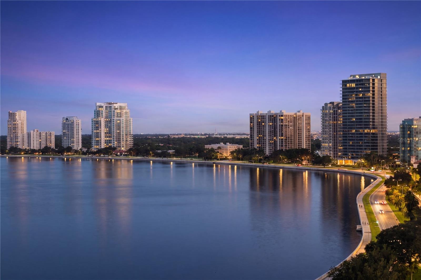 2413 Bayshore Blvd #1605 Property Photo 3