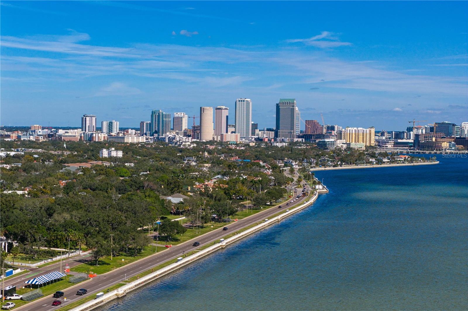 2413 Bayshore Blvd #1605 Property Photo 6