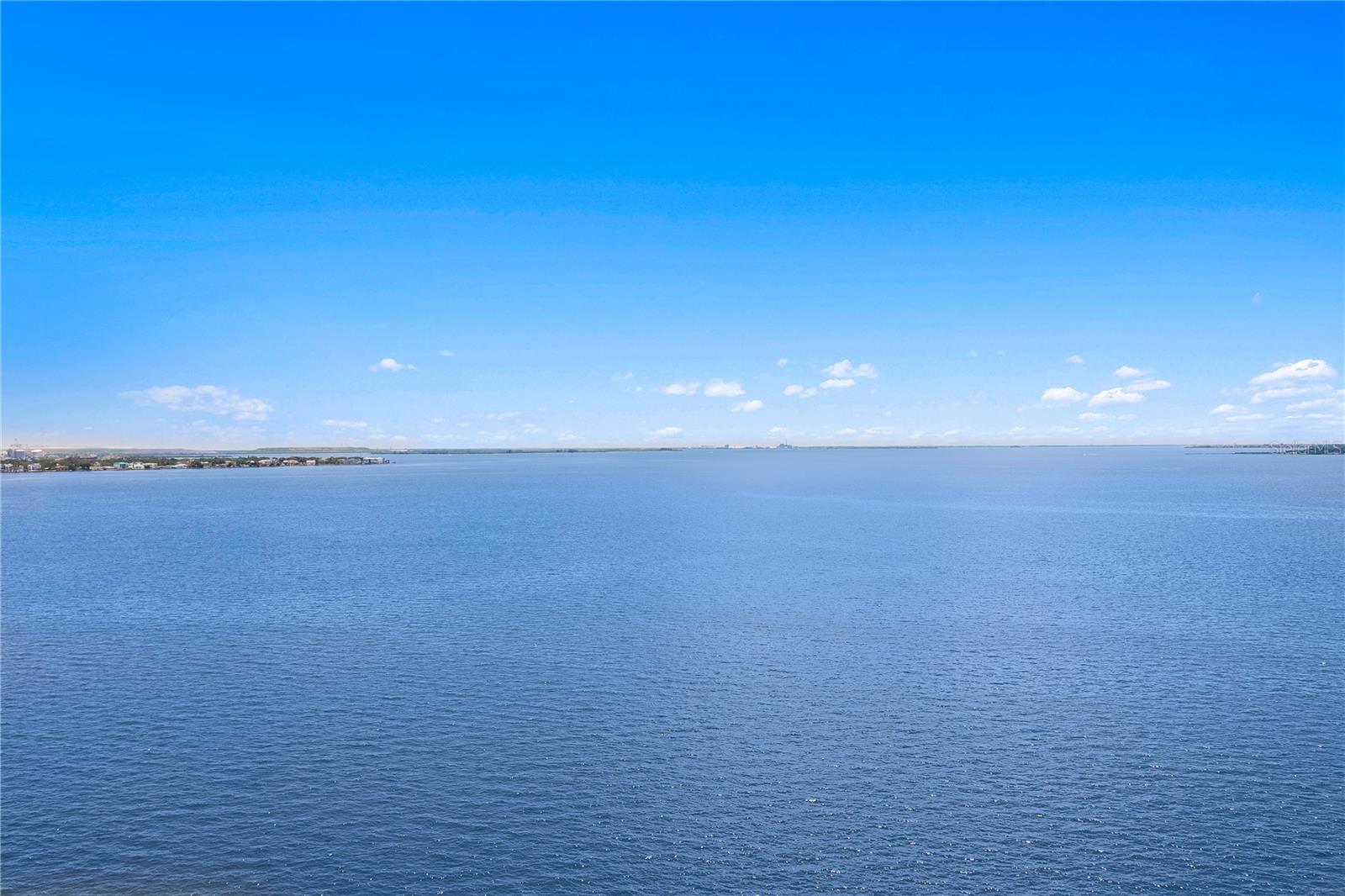 2413 Bayshore Blvd #1605 Property Photo 15