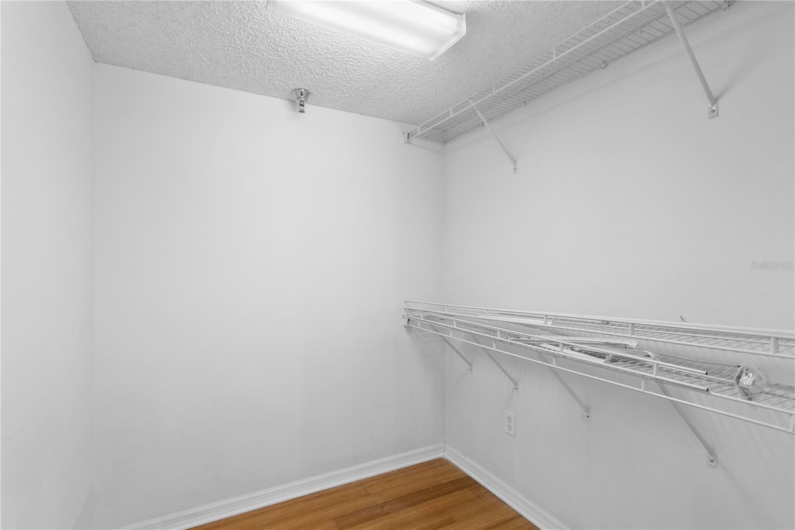 2413 Bayshore Blvd #1605 Property Photo 38