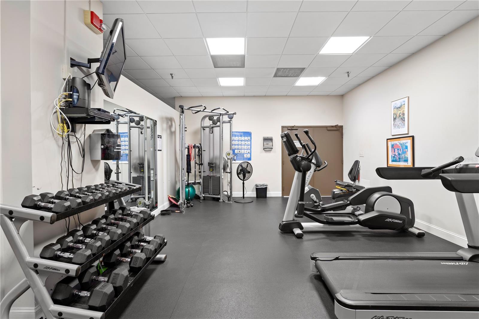 2413 Bayshore Blvd #1605 Property Photo 46