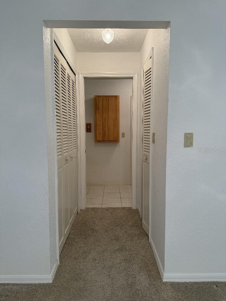 64 Norman St Property Photo 8
