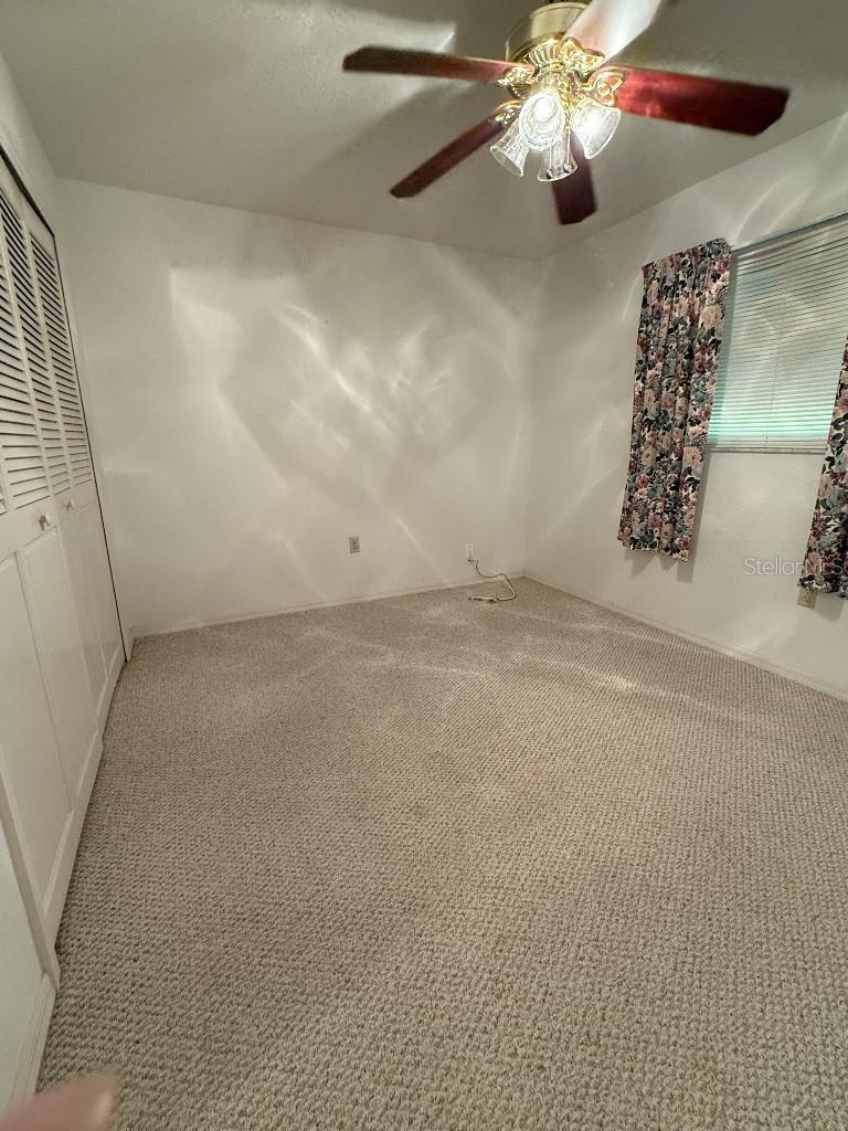 64 Norman St Property Photo 13