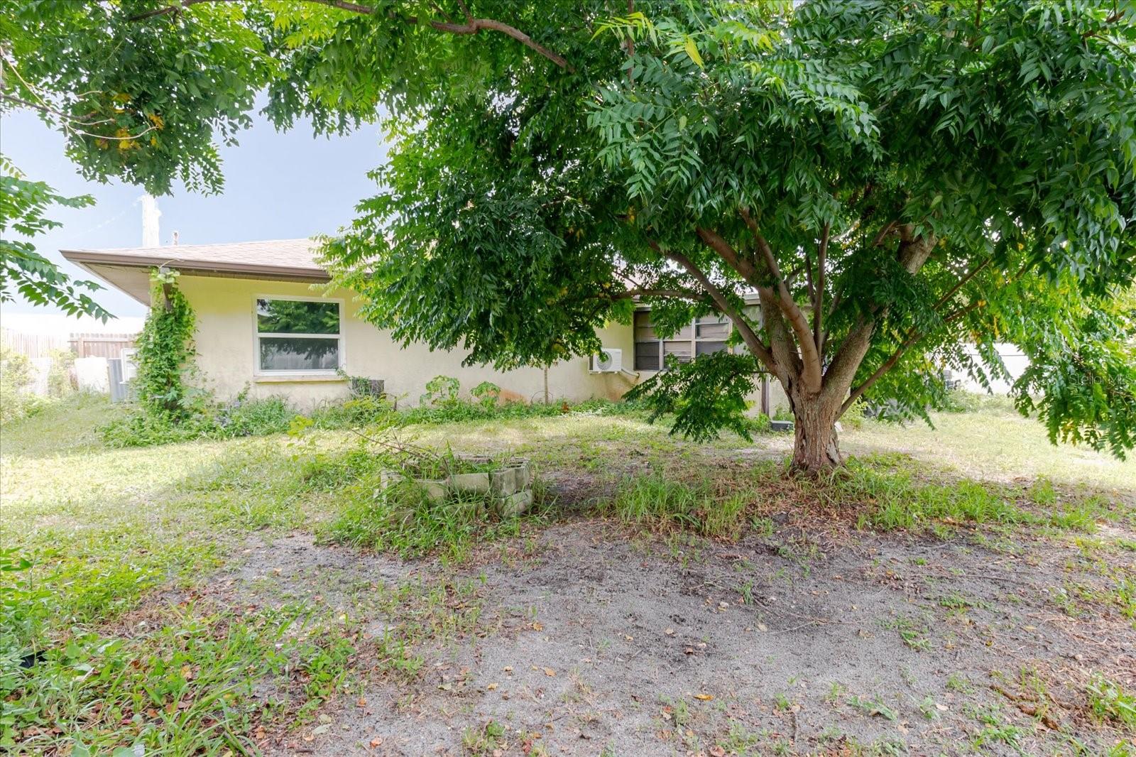 8513 Bella Via Property Photo 49
