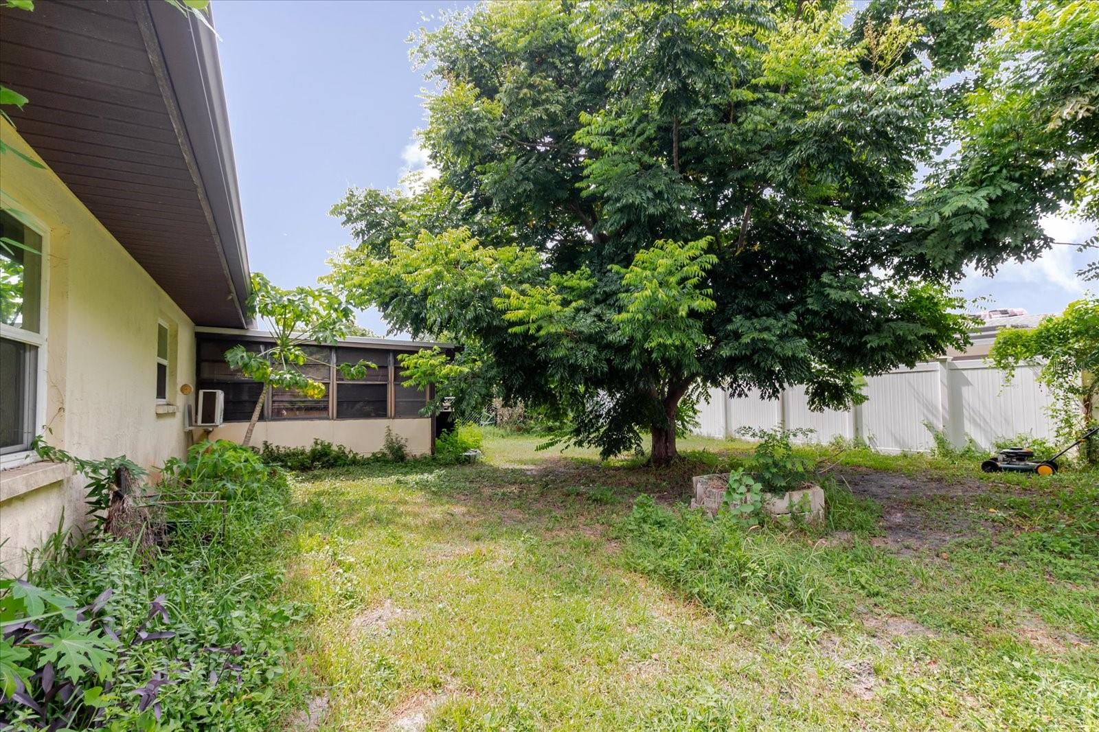 8513 Bella Via Property Photo 51