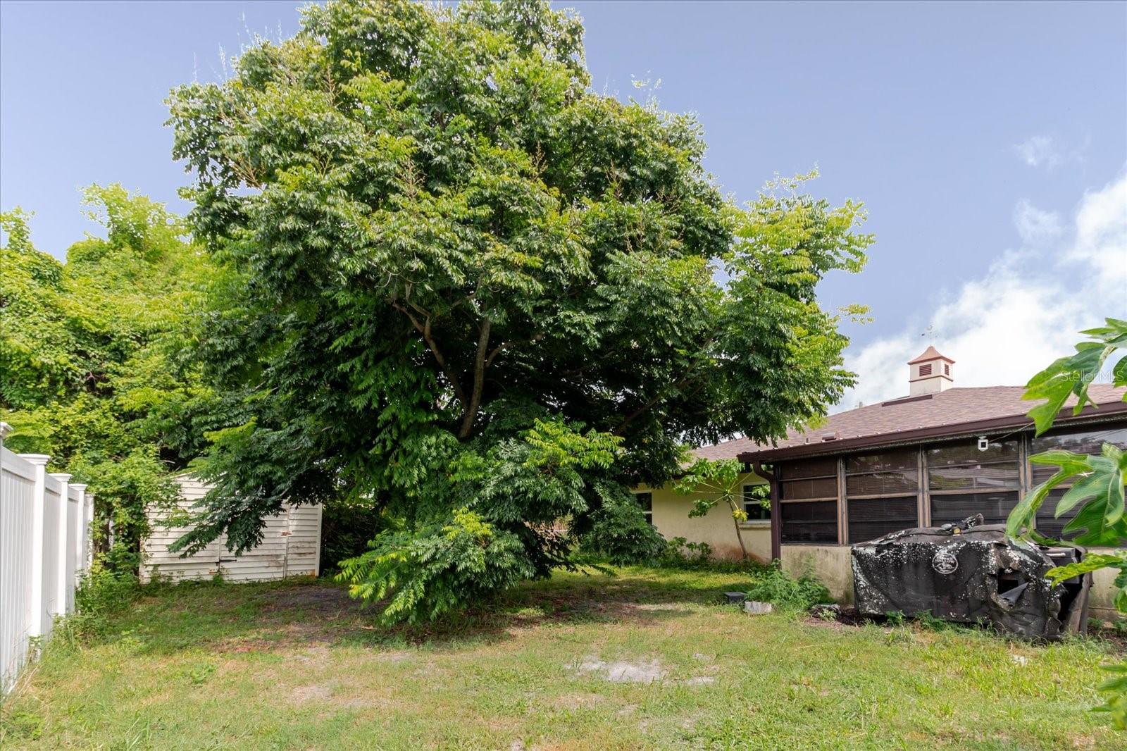 8513 Bella Via Property Photo 53