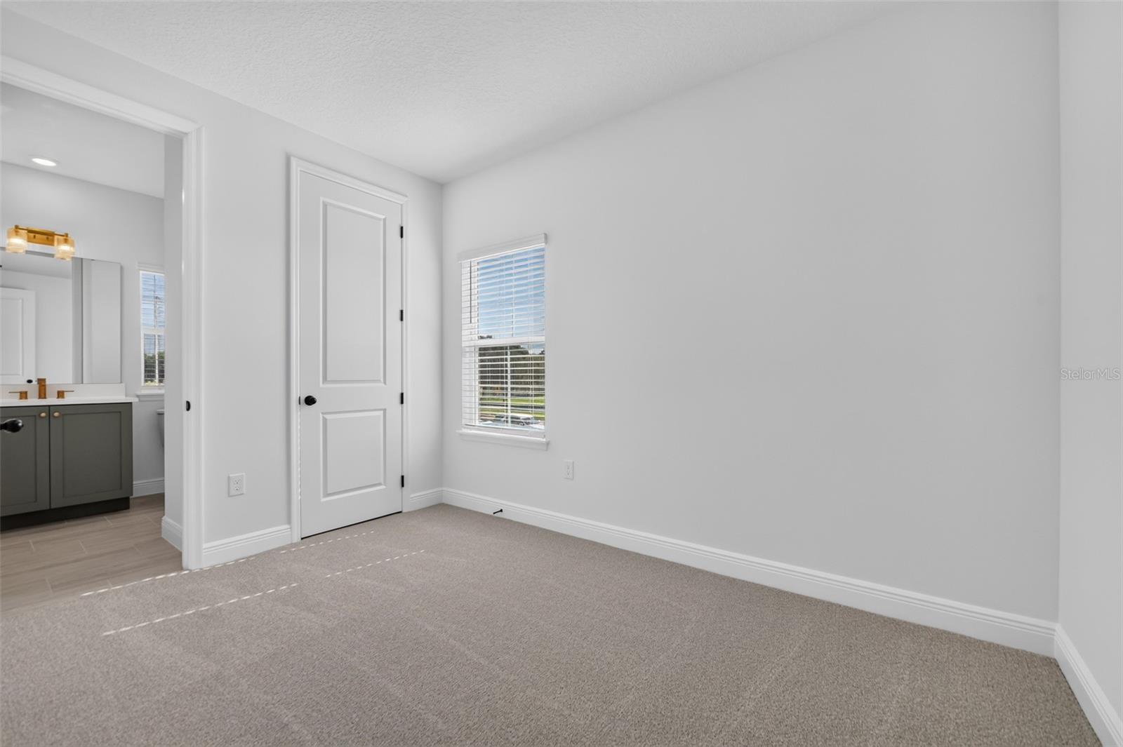13325 Lush Lime Aly Property Photo 18