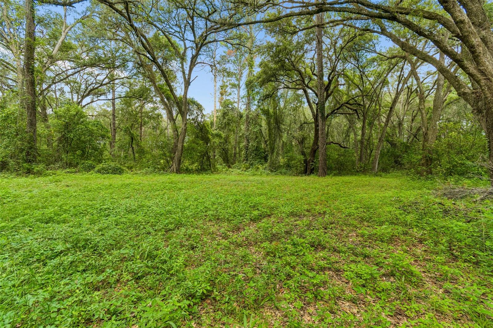 21835 Valhalla Way Property Photo 3