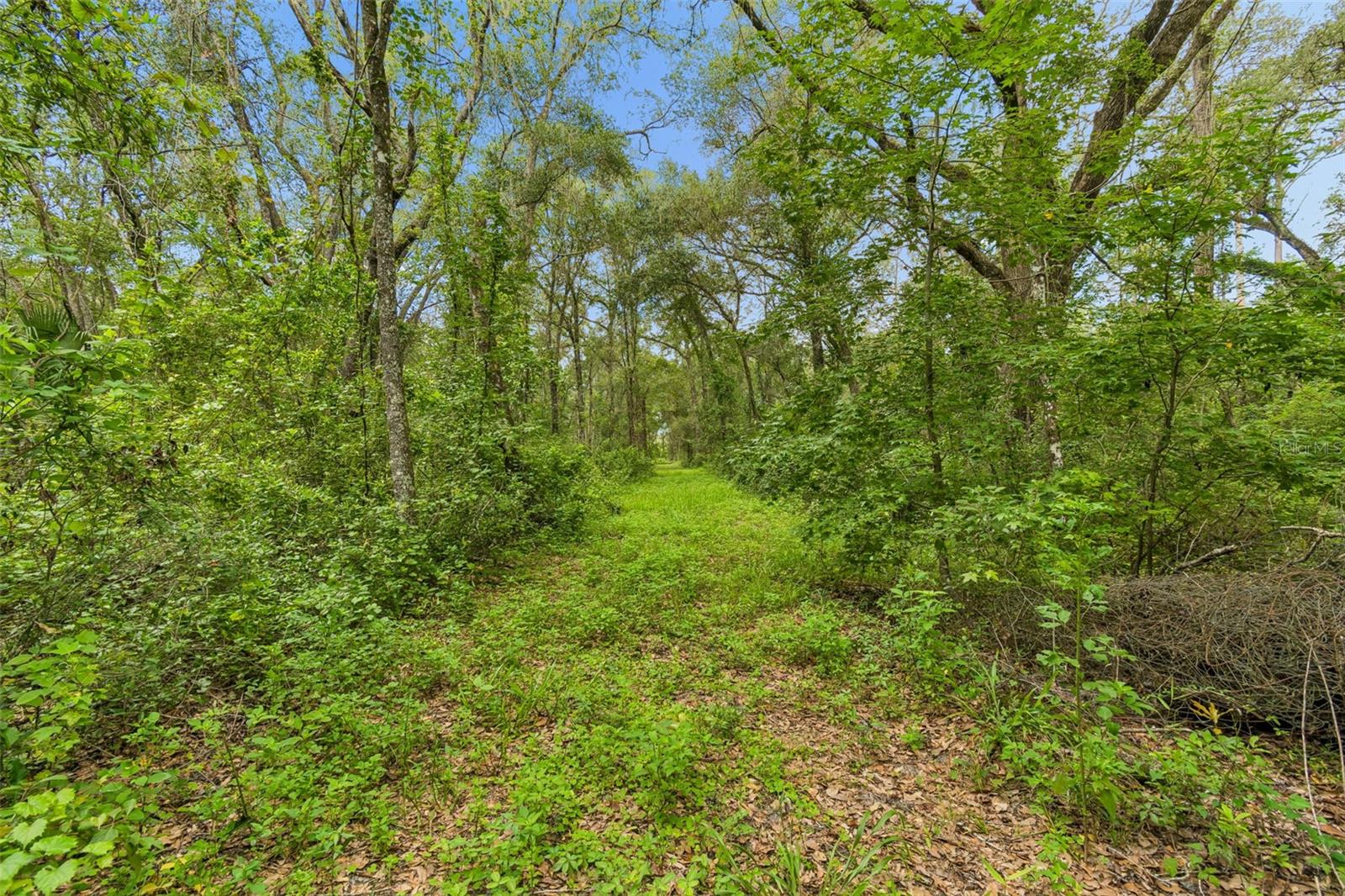 21835 Valhalla Way Property Photo 13
