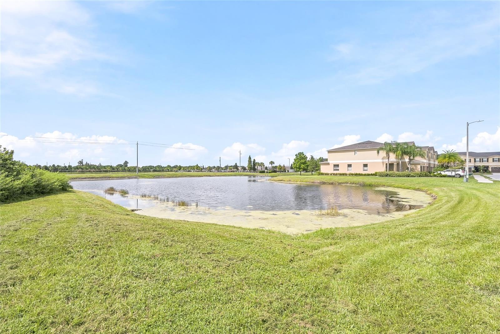 12942 Utopia Gardens Way Property Photo 40