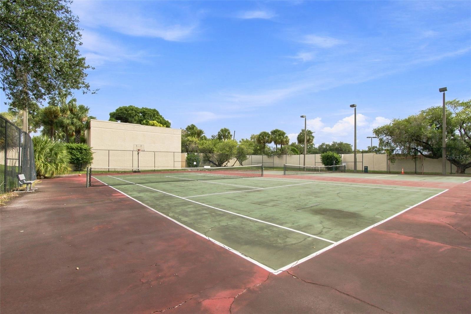 2424 W Tampa Bay Blvd #l404 Property Photo 48