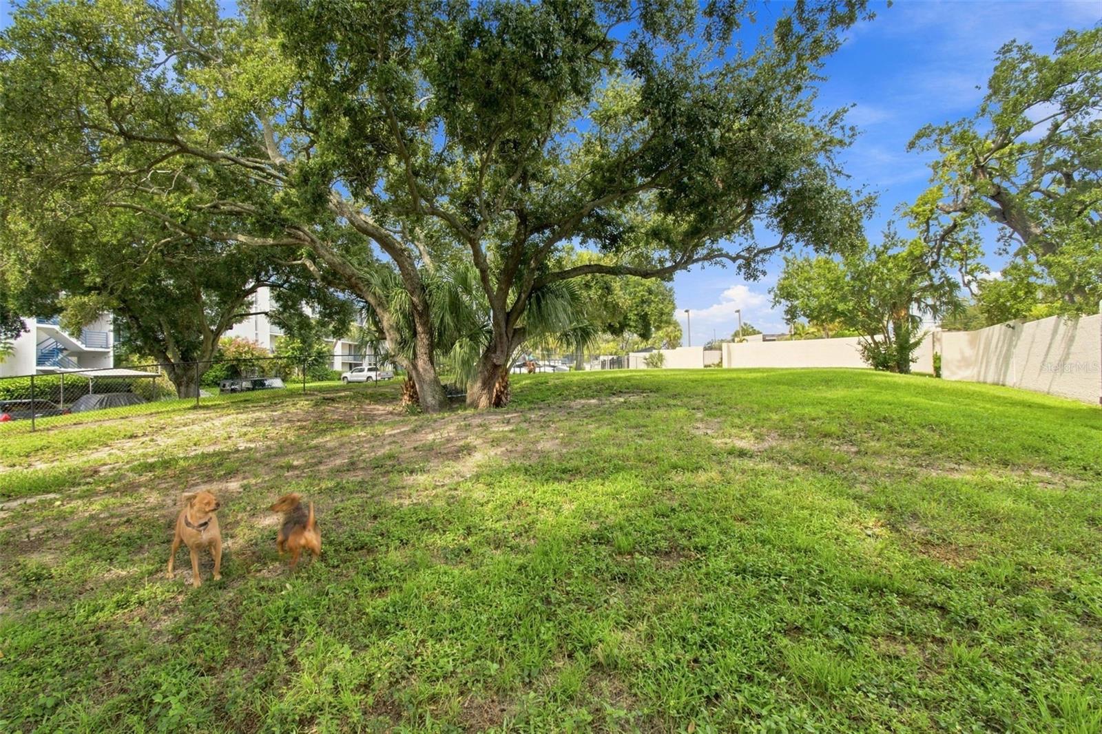 2424 W Tampa Bay Blvd #l404 Property Photo 52