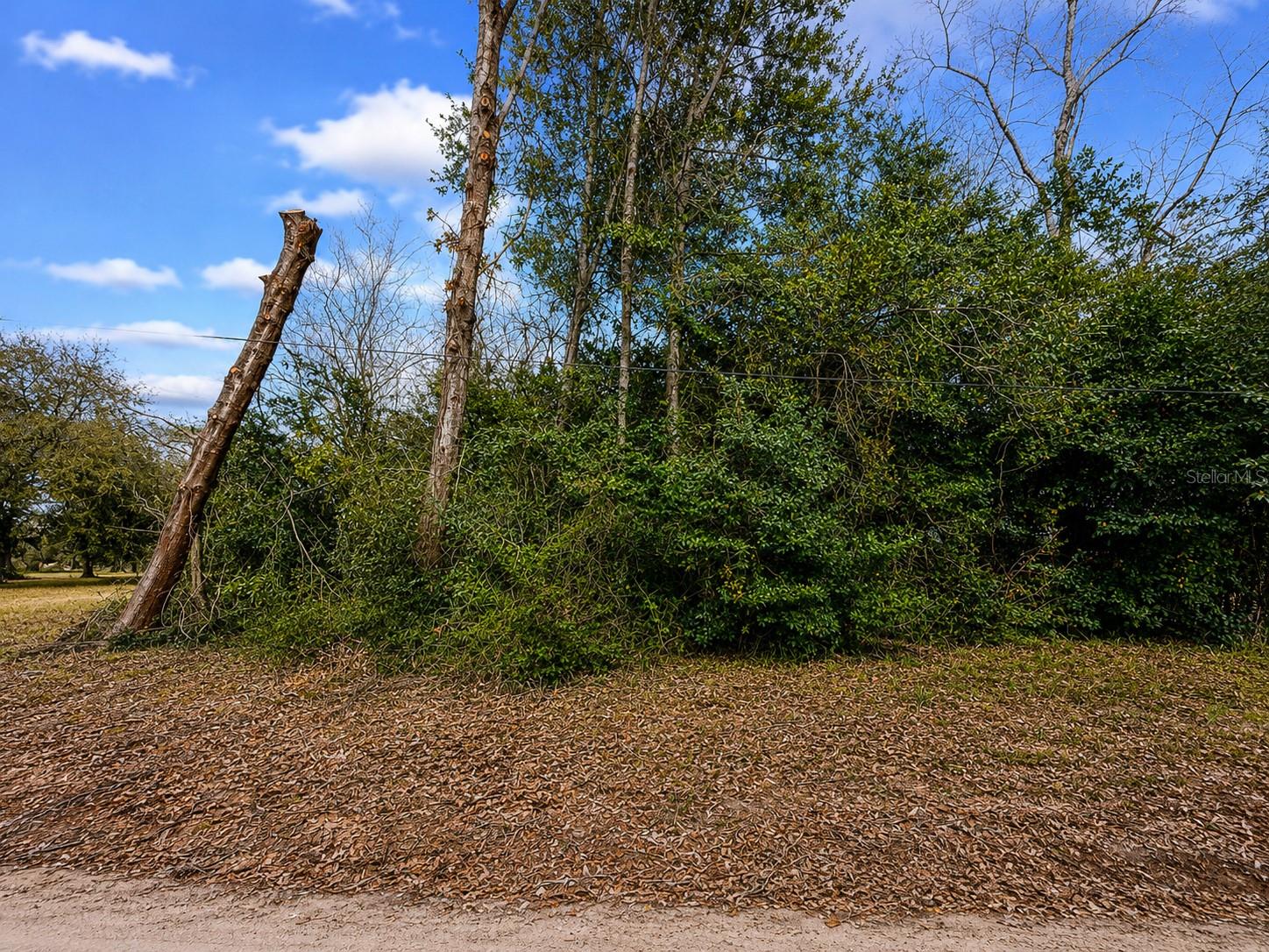 20710 Stewart Rd Property Photo 6