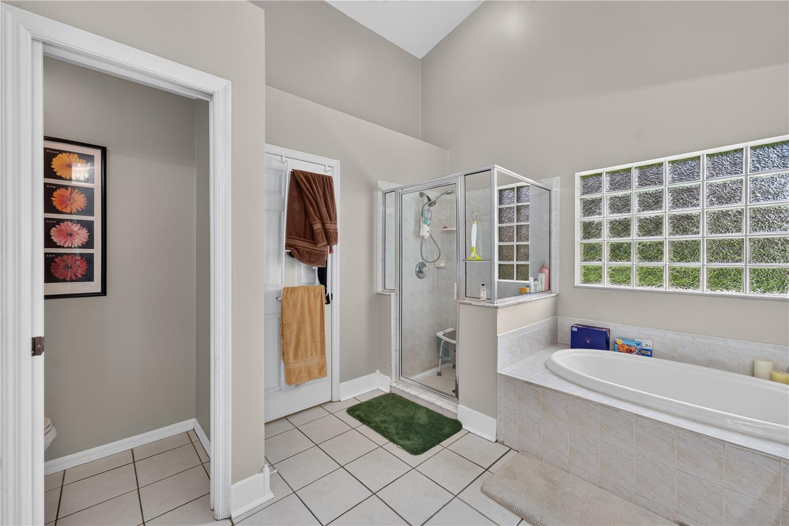 10160 Whisper Pointe Dr Property Photo 37