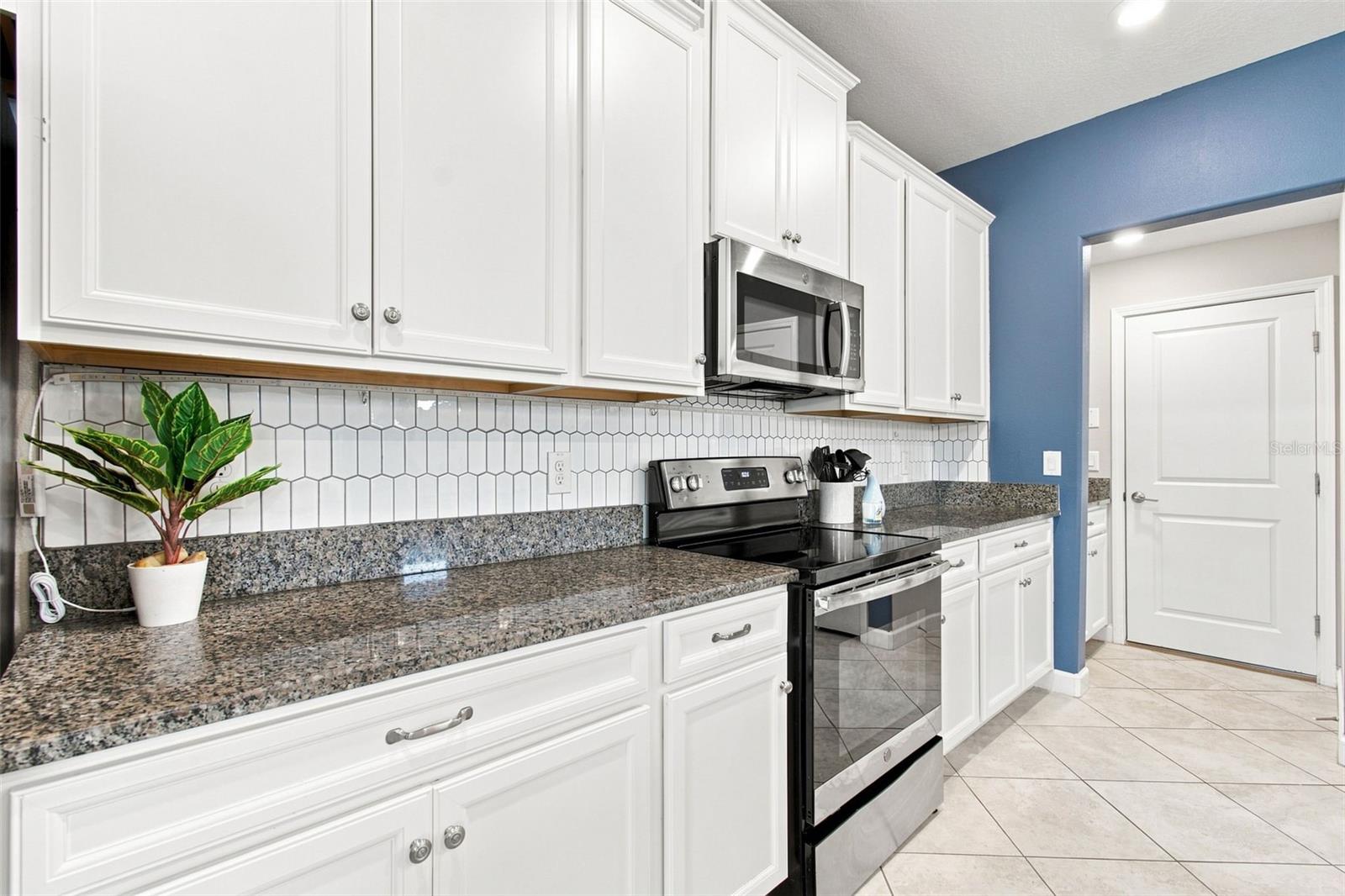 3207 Painted Blossom Ct Property Photo 18