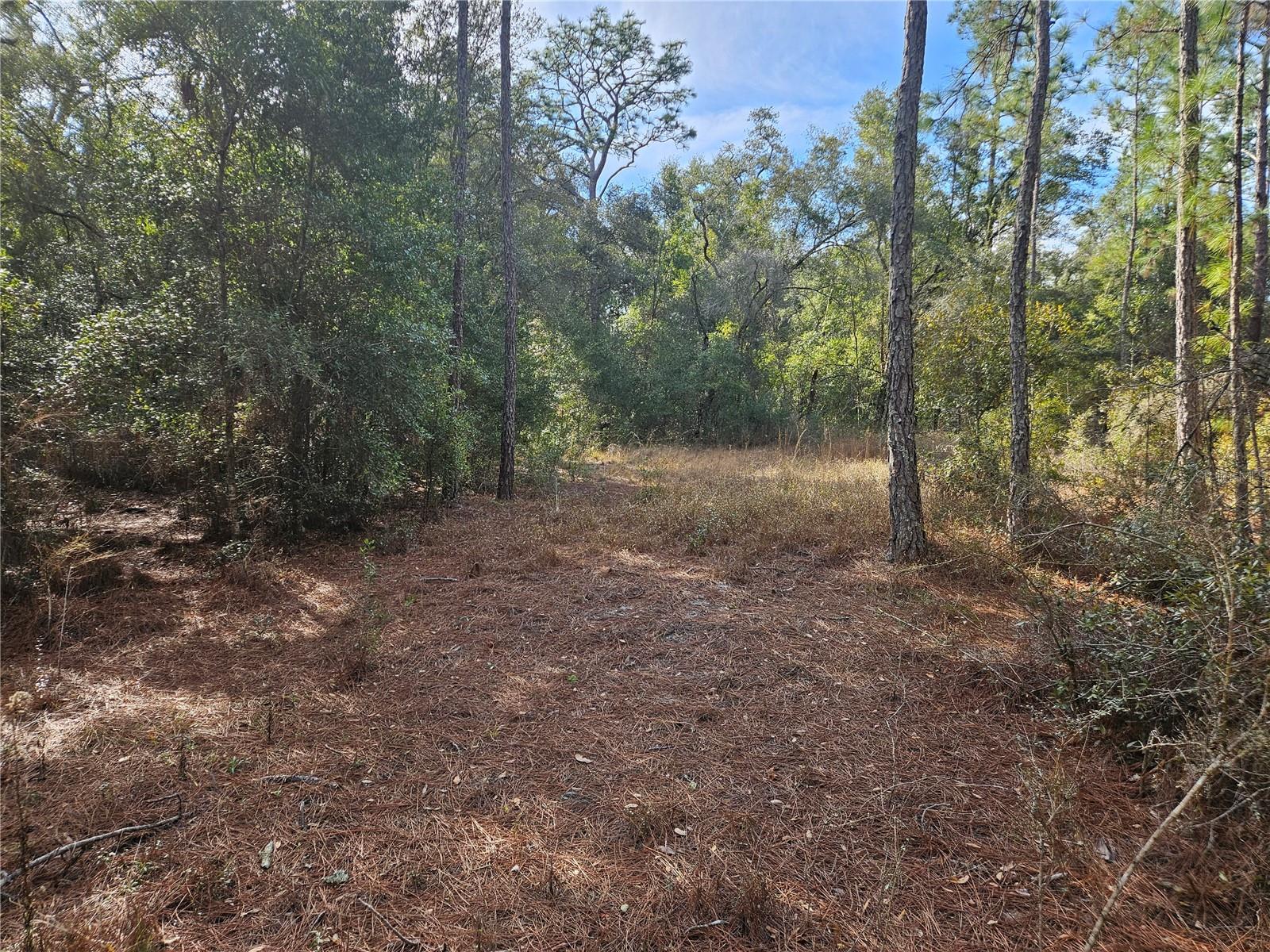 Rosehill Dr Property Photo 1