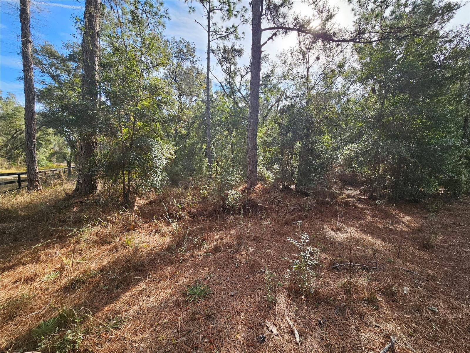 Rosehill Dr Property Photo 8