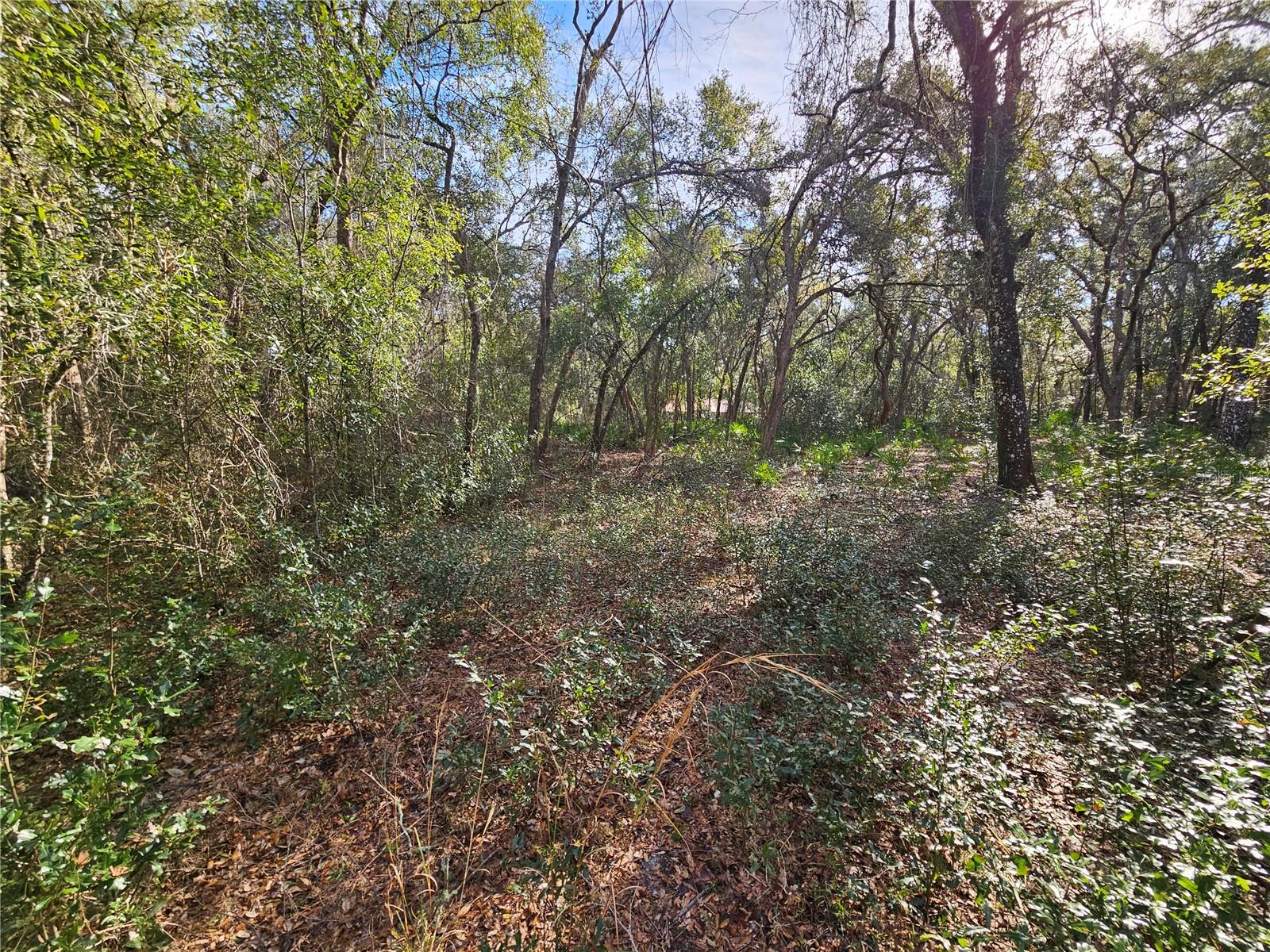 Rosehill Dr Property Photo 9