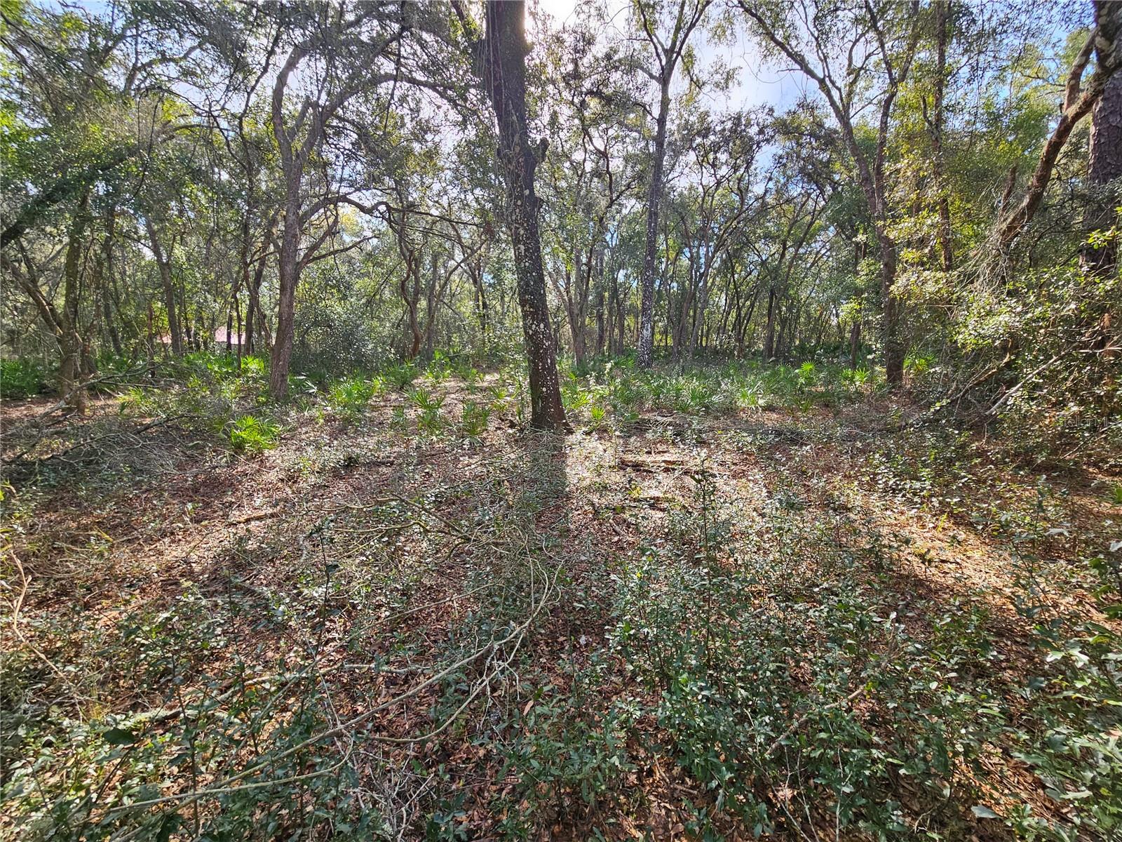 Rosehill Dr Property Photo 10