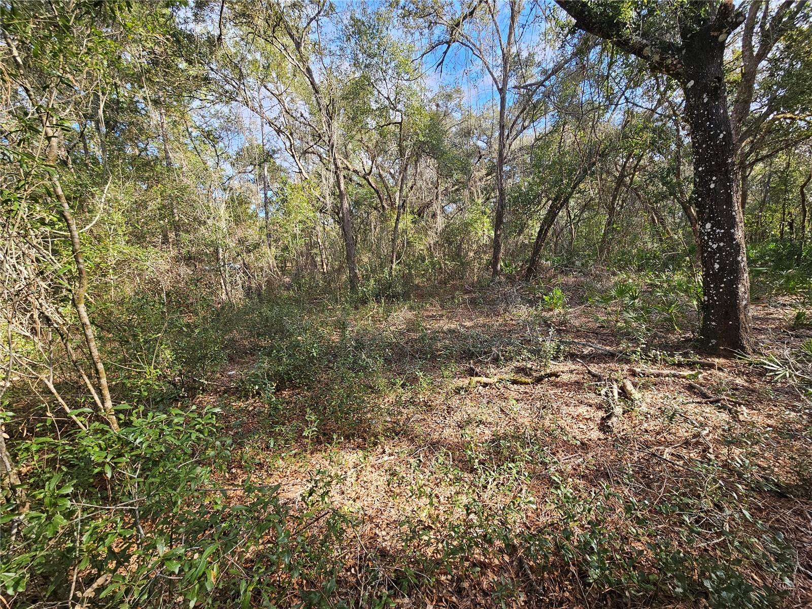 Rosehill Dr Property Photo 11