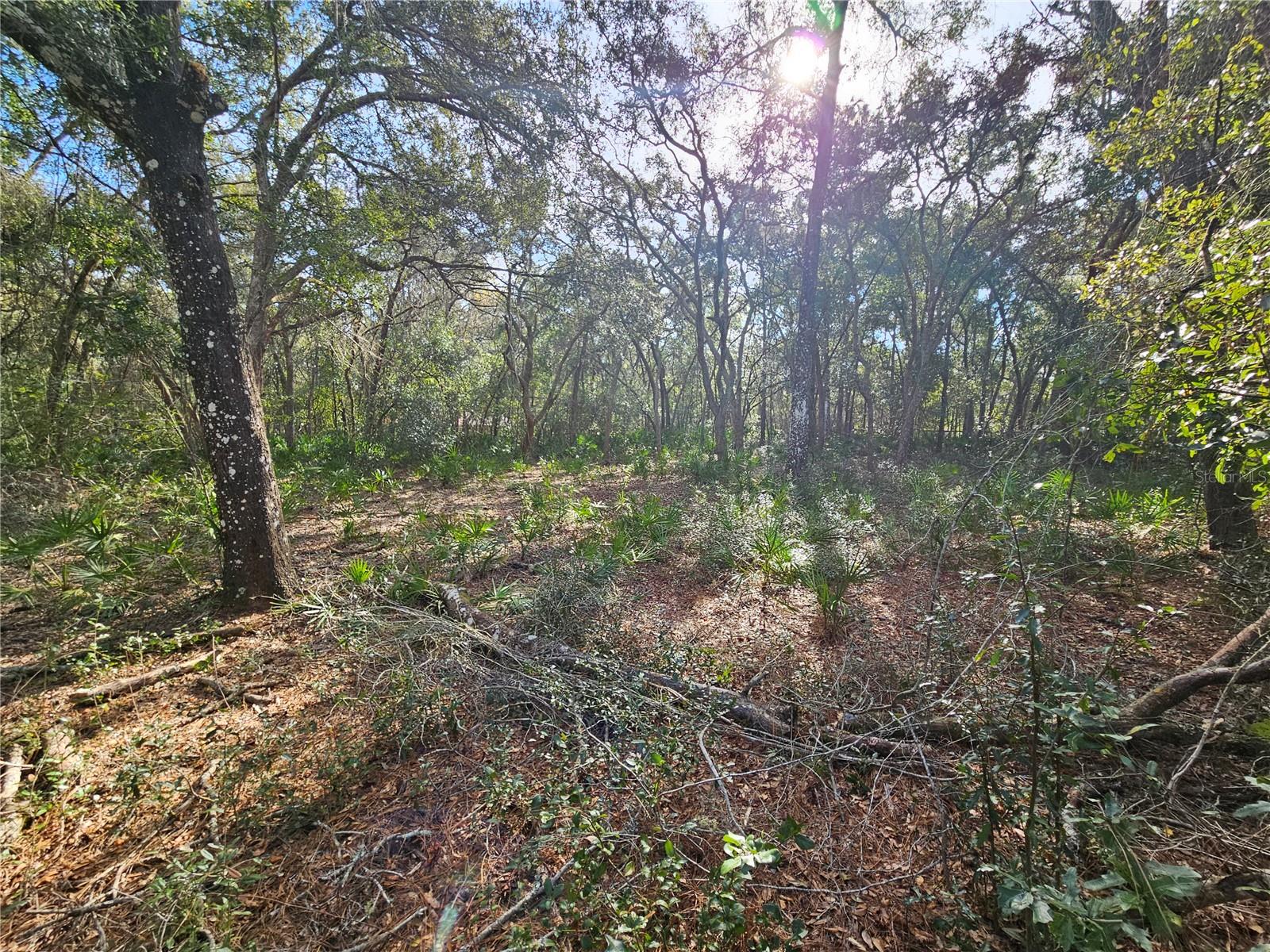 Rosehill Dr Property Photo 12