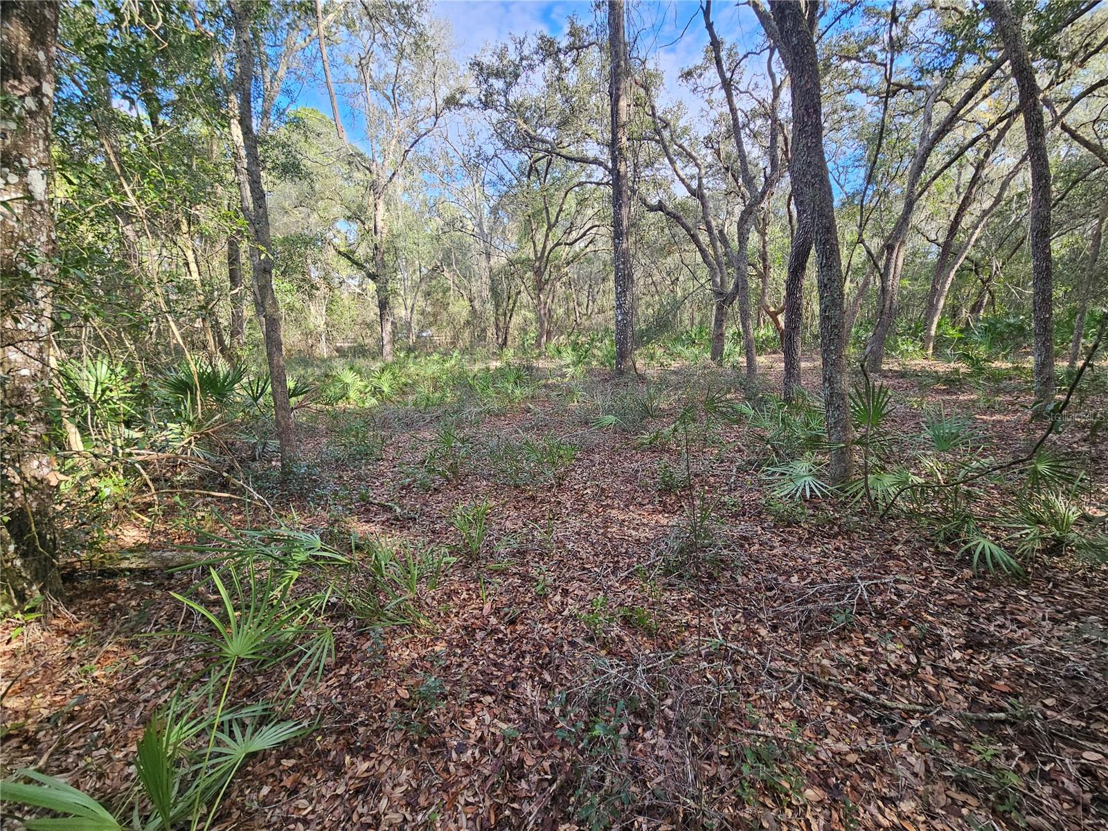 Rosehill Dr Property Photo 13