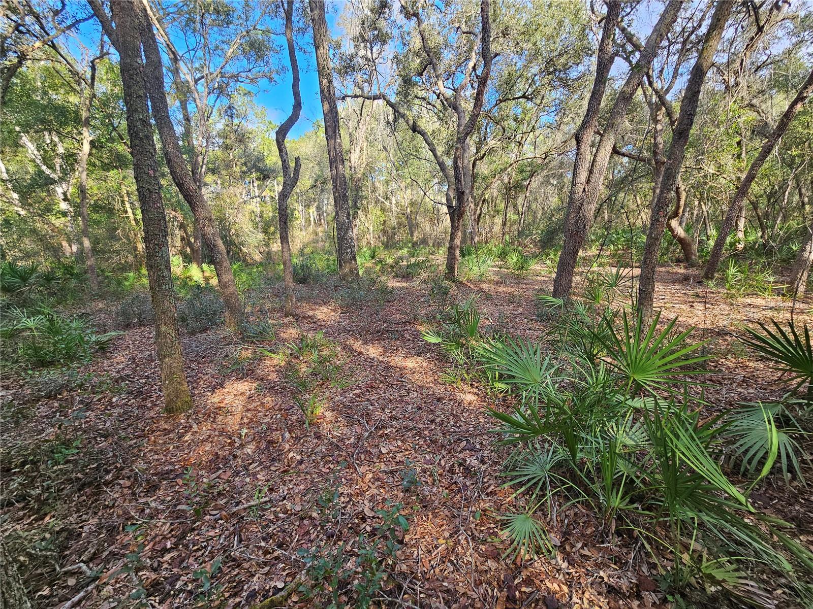 Rosehill Dr Property Photo 14