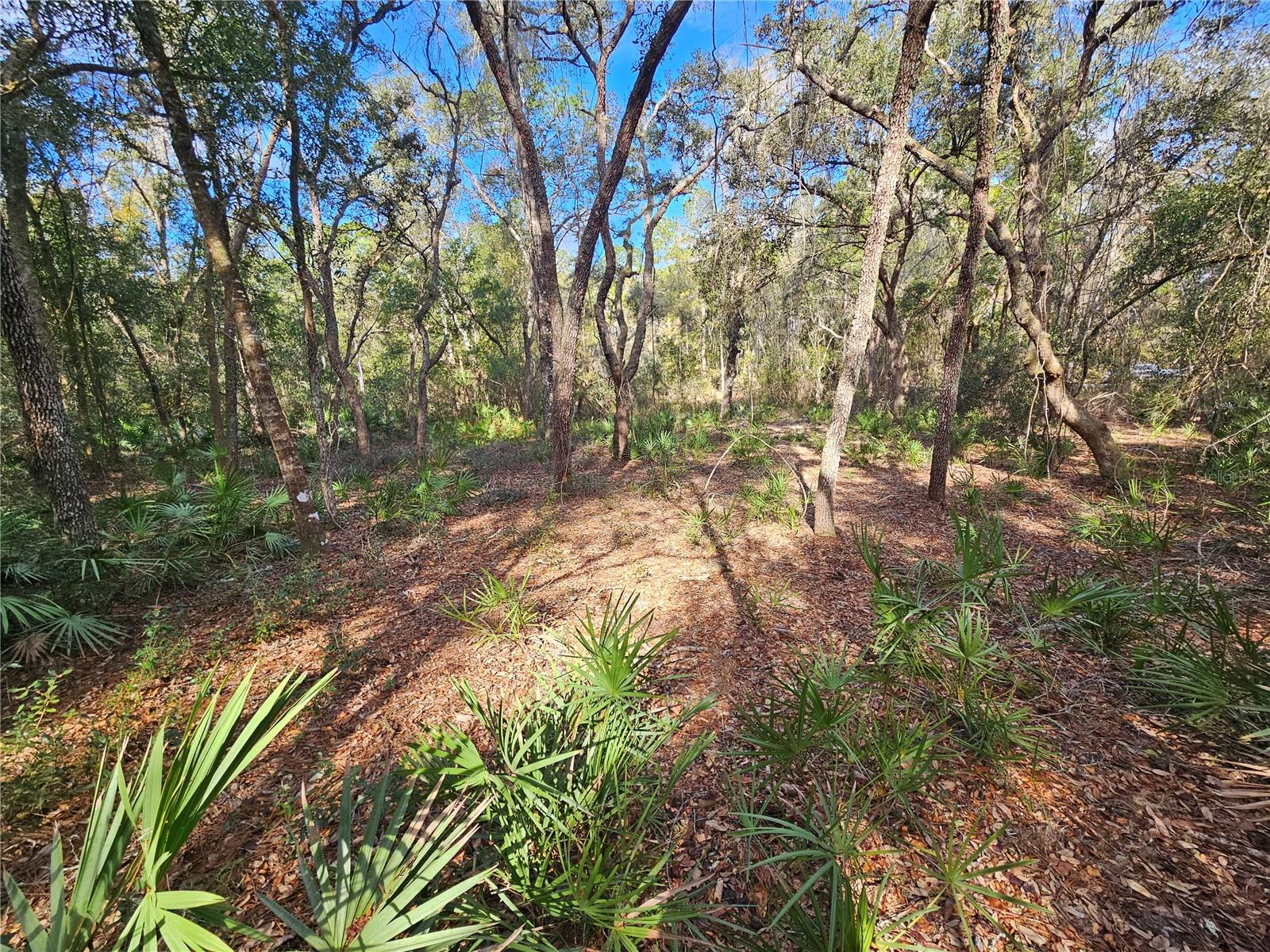 Rosehill Dr Property Photo 15