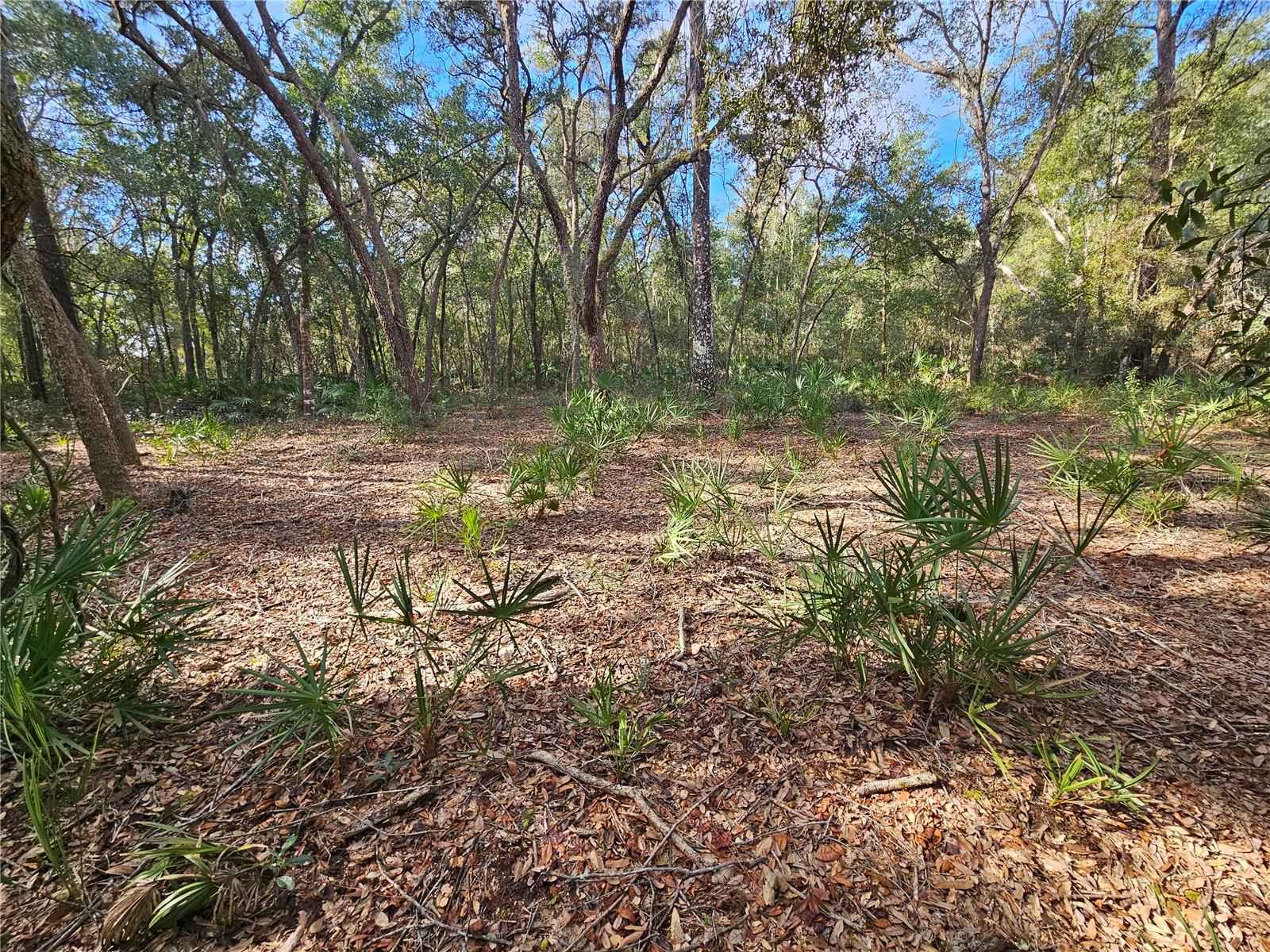 Rosehill Dr Property Photo 16