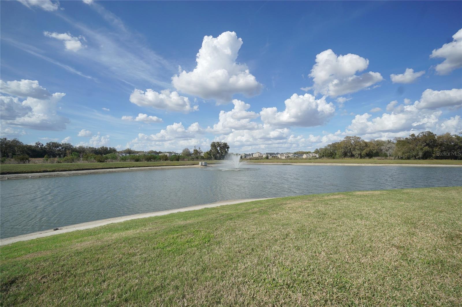 34347 Sorrel Mint Dr Property Photo 14