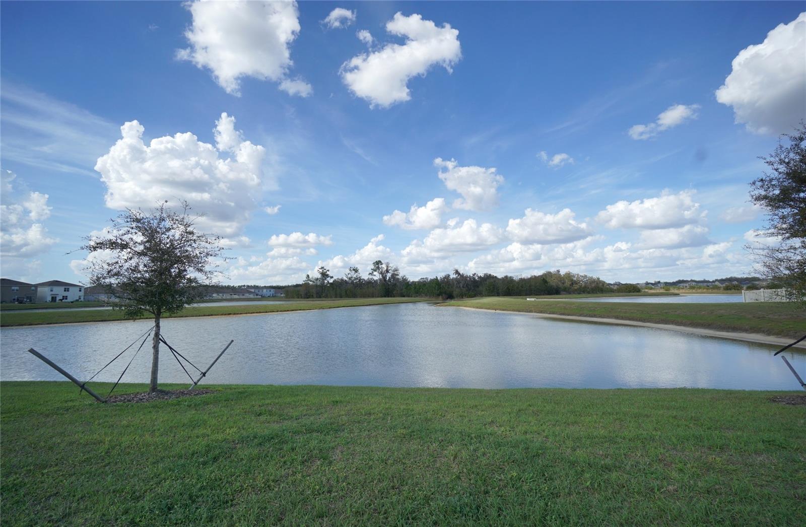 34347 Sorrel Mint Dr Property Photo 16