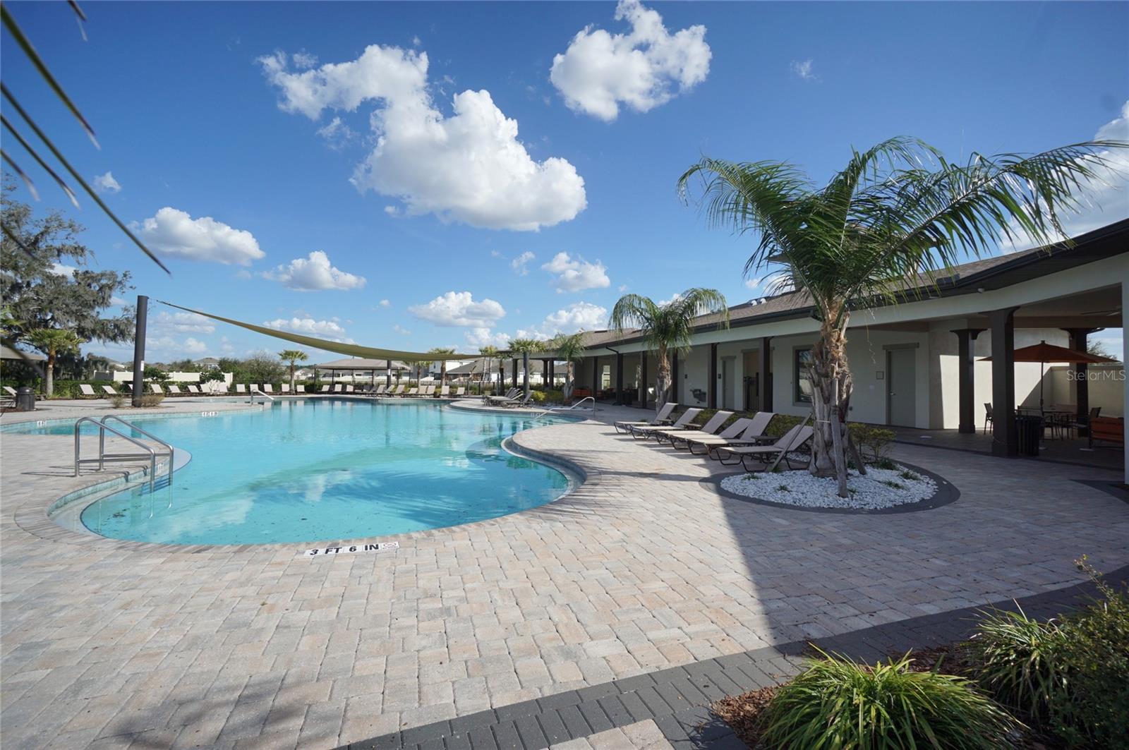 34347 Sorrel Mint Dr Property Photo 19