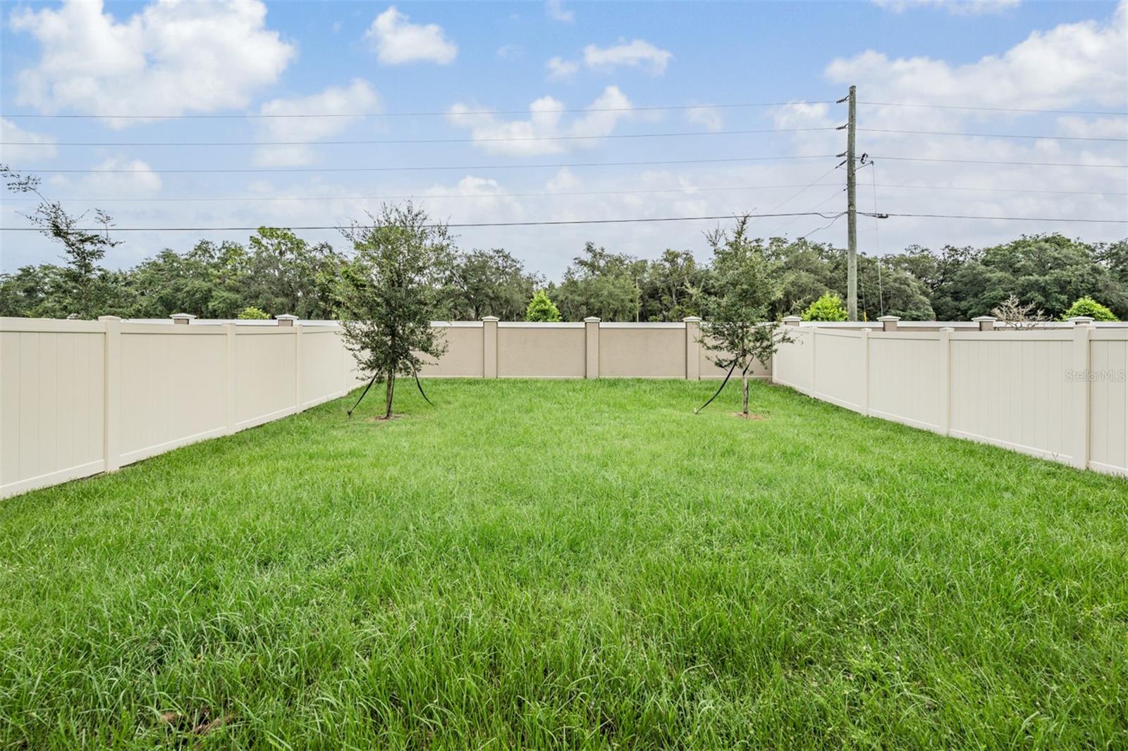 10112 Branching Ship Trce Property Photo 31