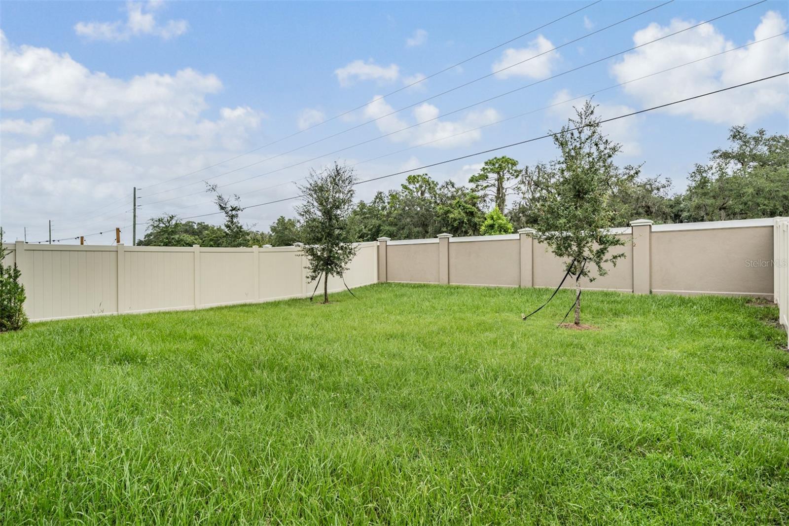 10112 Branching Ship Trce Property Photo 32