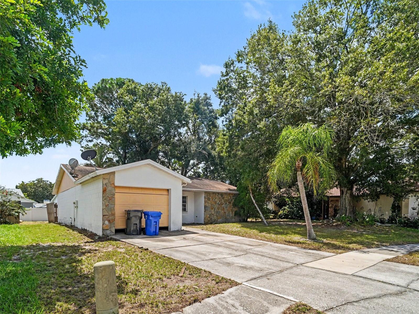 11329 Blackbark Dr Property Photo 3