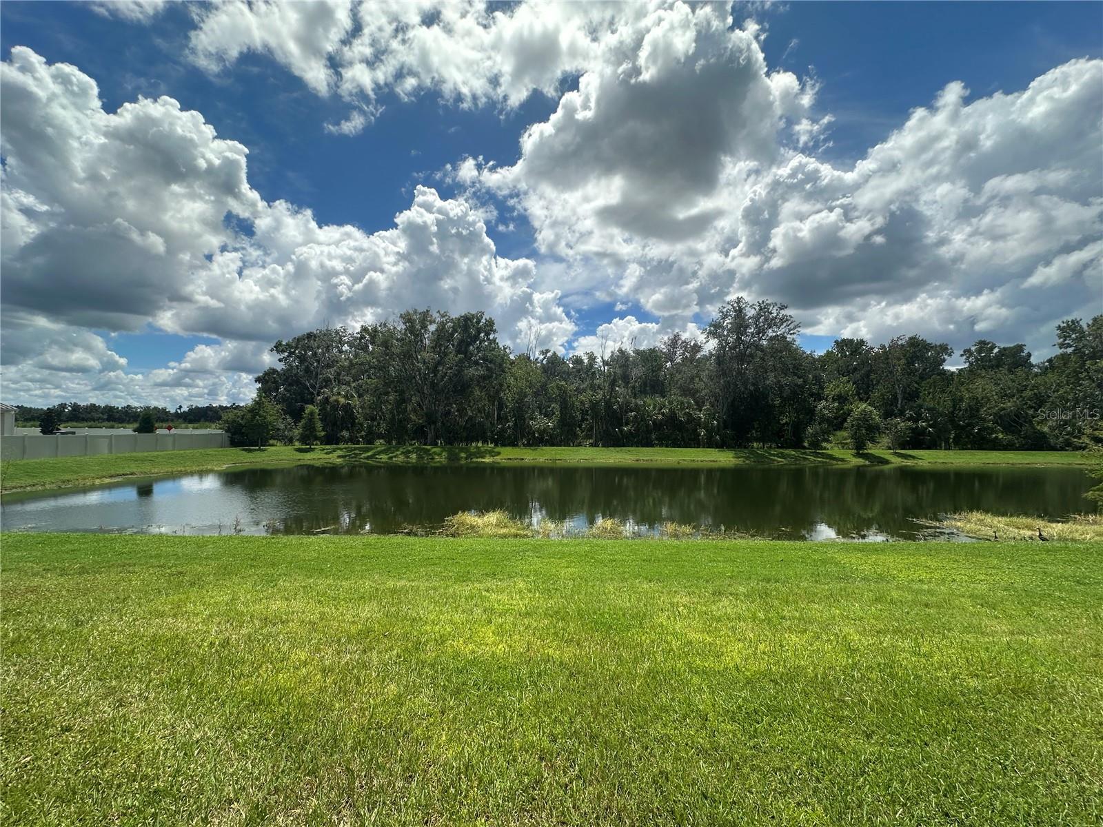 26128 Fantasy Sky Ln Property Photo 21