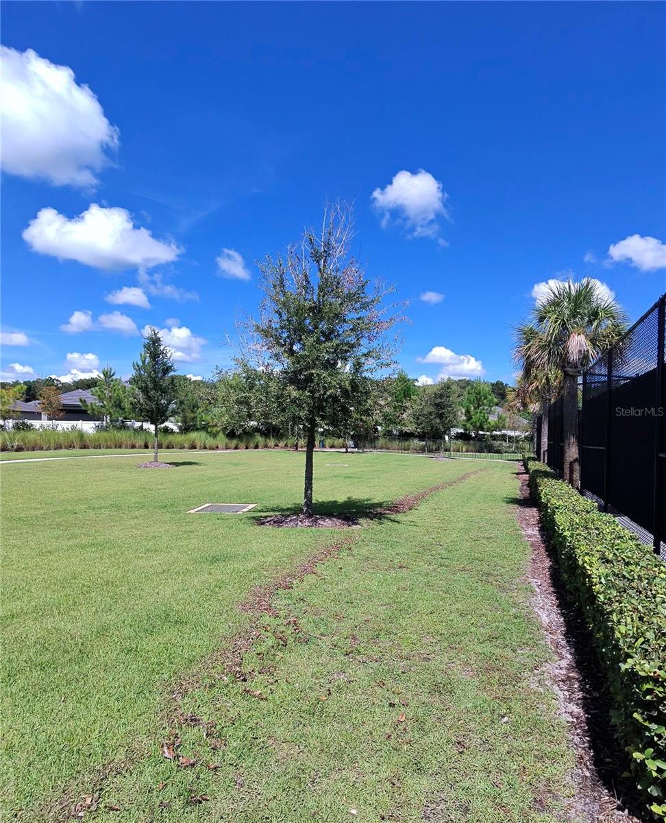 10857 Rustic Eve Ct Property Photo 33