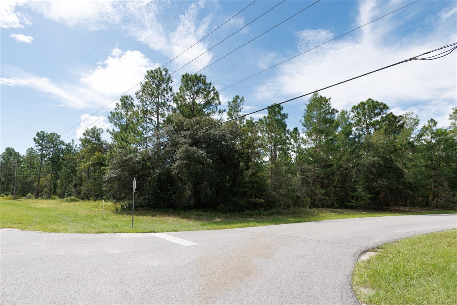 7293 N Windbrook Dr Property Photo 16