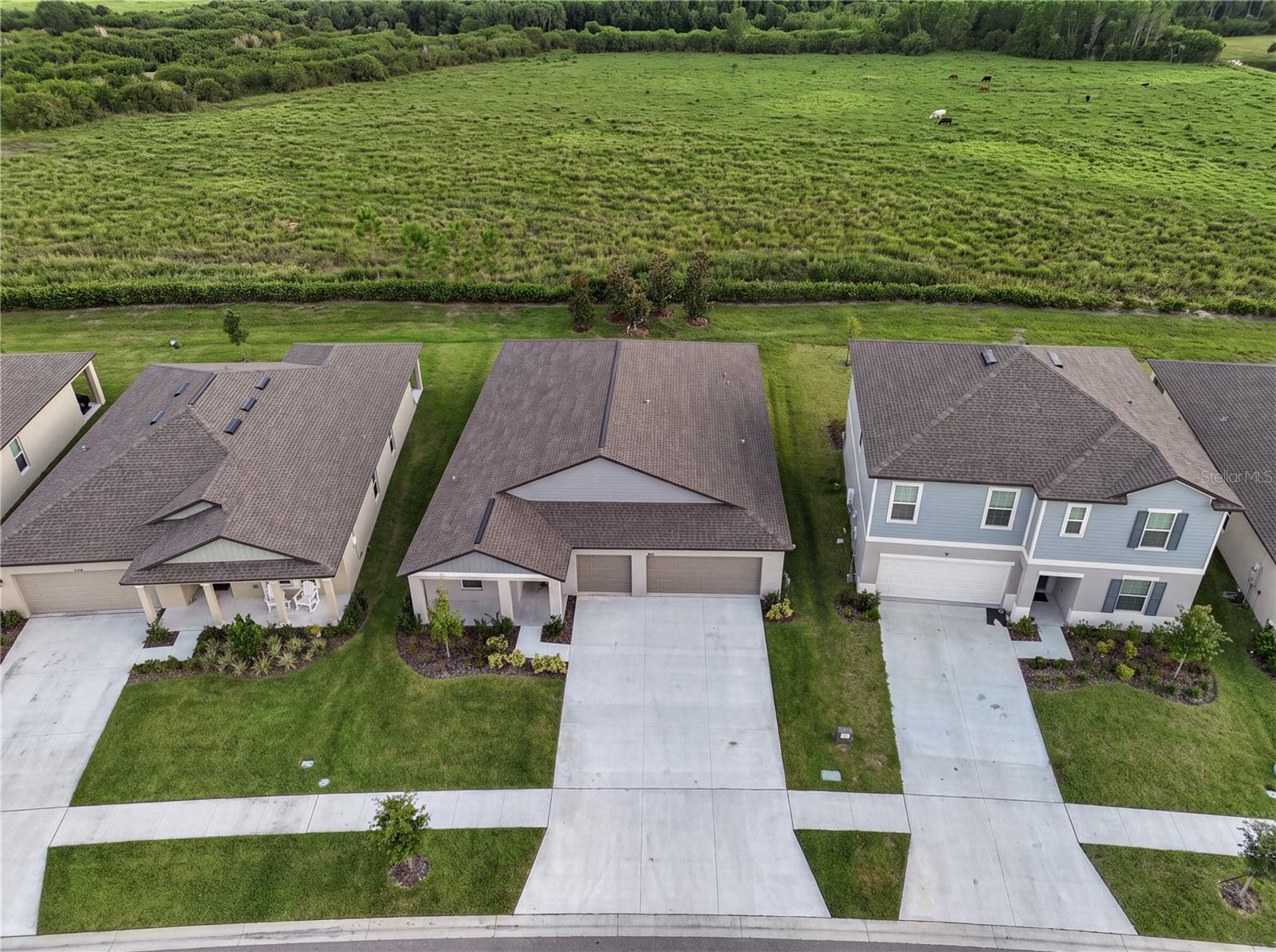 11824 Blue Diamond Trl Property Photo 4