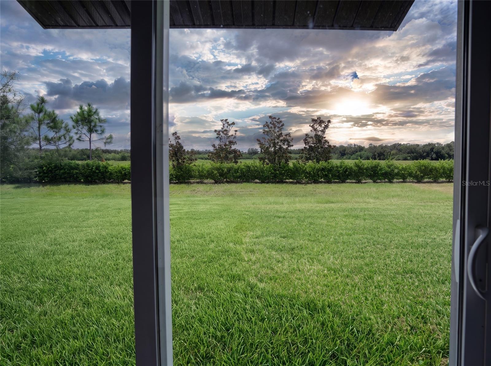 11824 Blue Diamond Trl Property Photo 12