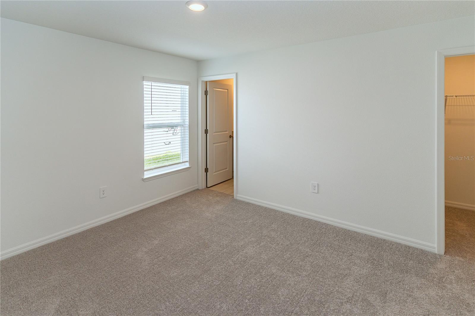 11824 Blue Diamond Trl Property Photo 24