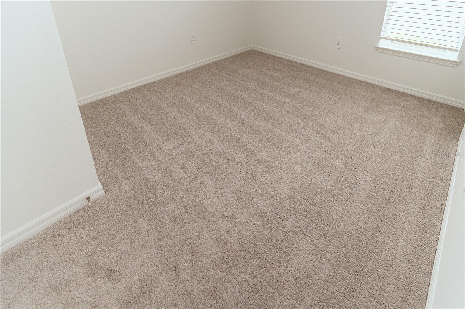 11824 Blue Diamond Trl Property Photo 26