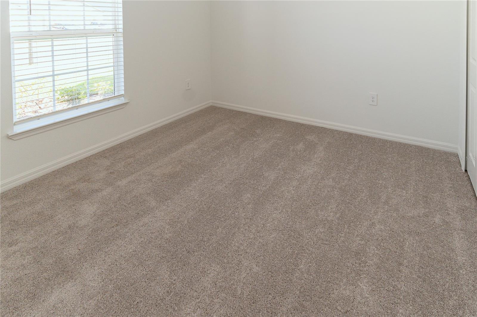 11824 Blue Diamond Trl Property Photo 30