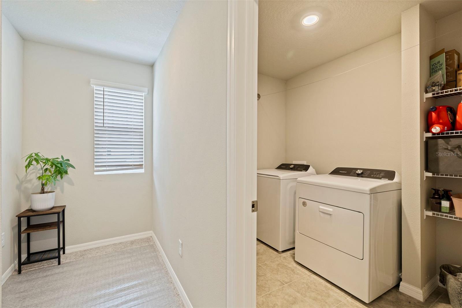 7117 Boggy Creek Pl Property Photo 21