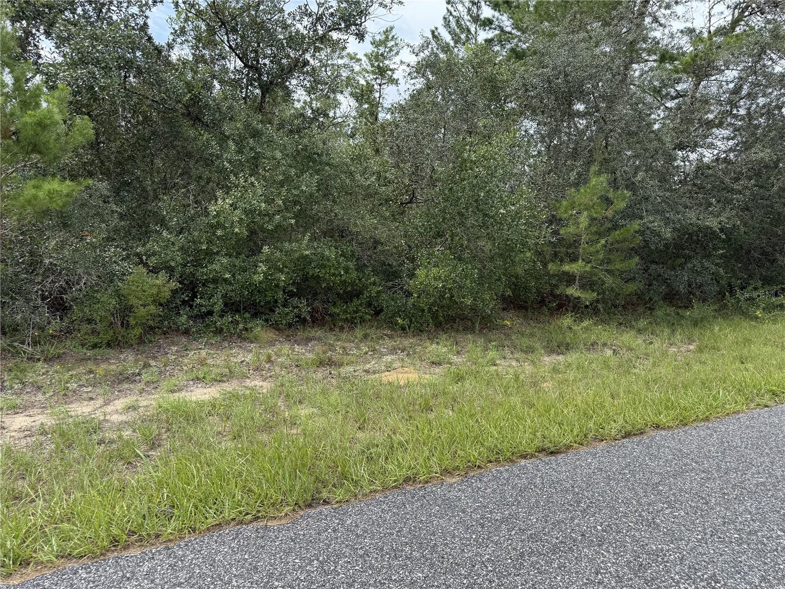 4282 W Thrush Dr Property Photo 1