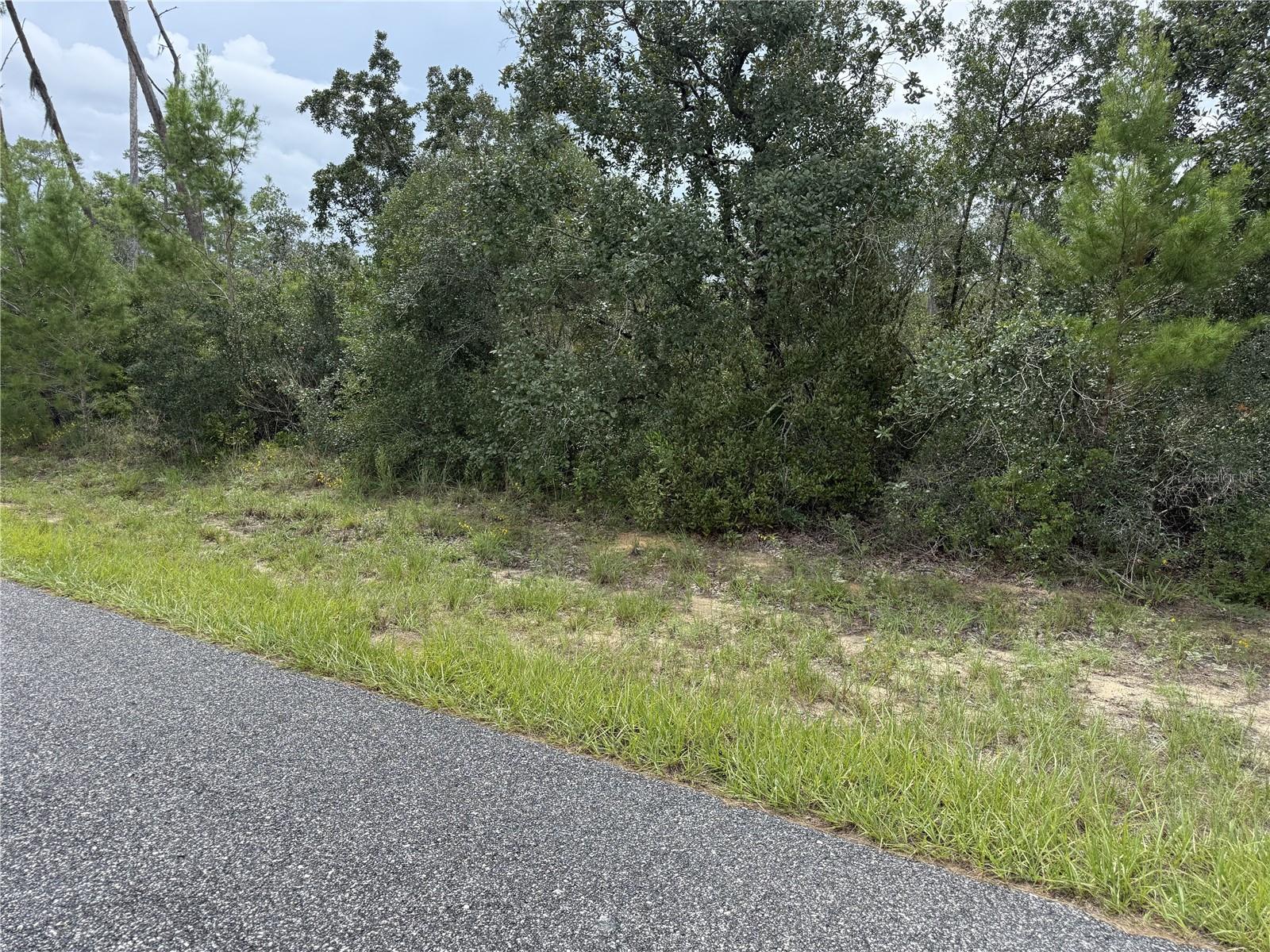 4282 W Thrush Dr Property Photo 2