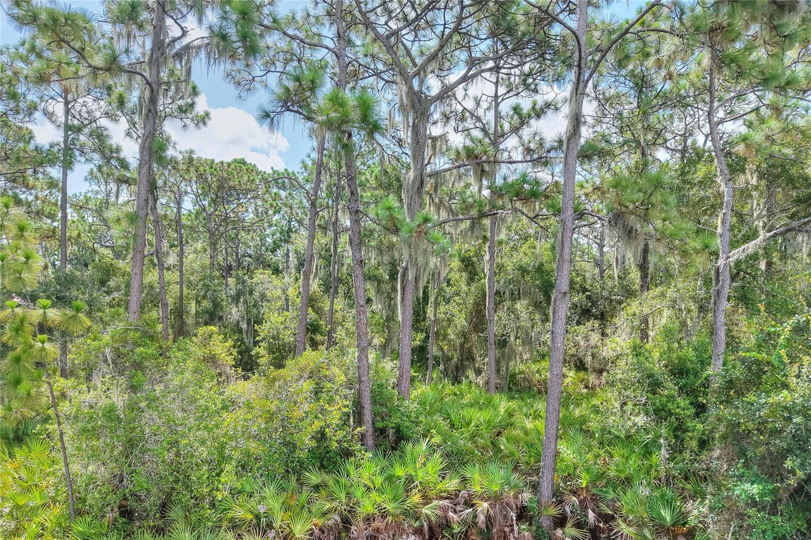 Se 33rd St Property Photo 8